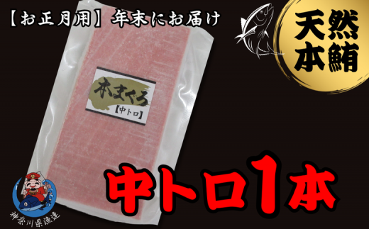【年内発送】神奈川県漁連 天然本マグロ 中トロサク【お正月用】 M077-013-02神奈川県三浦市12000魚介・海産物鮮魚