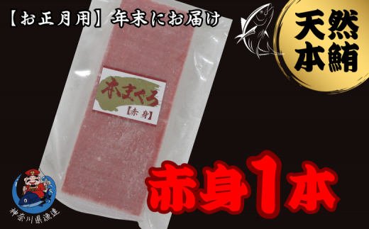 【年内発送】神奈川県漁連 天然本マグロ 赤身サク【お正月用】 M077-013-01神奈川県三浦市10000魚介・海産物鮮魚
