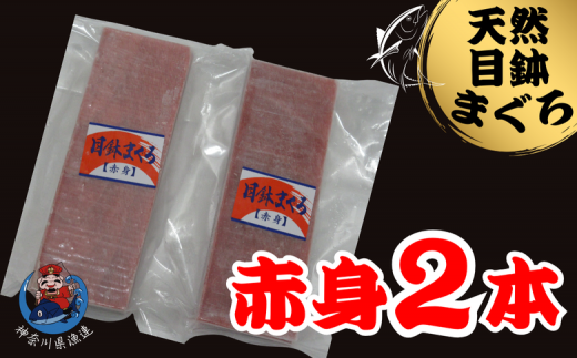 神奈川県漁連 三崎まぐろ 赤身サク 150g×2P M077-010神奈川県三浦市10000魚介・海産物鮮魚