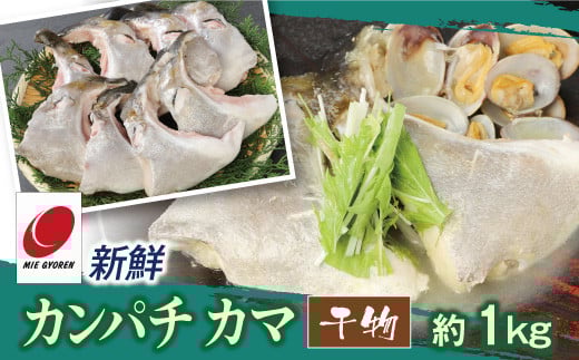 新鮮カンパチ カマ干物 約1kg M079-012-03神奈川県三浦市11000魚介・海産物貝類