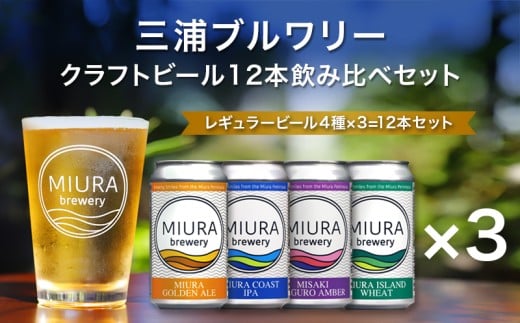 【三浦ブルワリー】クラフトビール 12本飲み比べセット M110-001-03神奈川県三浦市32000酒・アルコールビール・発泡酒