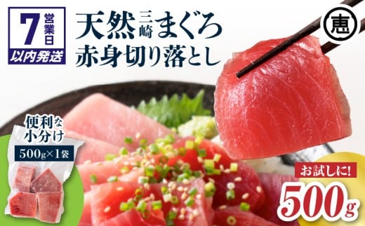 【7営業日以内に発送】天然三崎まぐろ 赤身 切落し 500g(500g×1袋) M020-014-04-sp-cp神奈川県三浦市8000魚介・海産物鮮魚