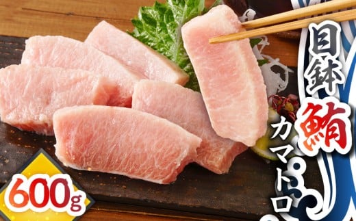目鉢鮪カマトロ 600g M081-009神奈川県三浦市13000魚介・海産物鮮魚
