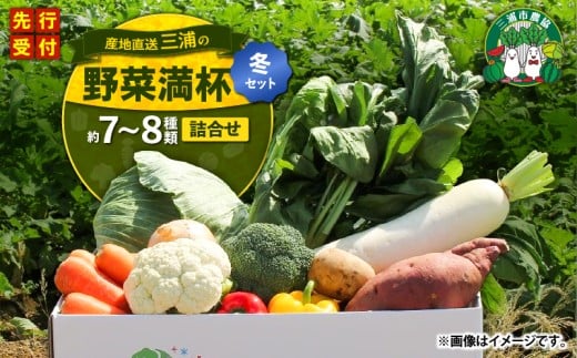 おいしさを全力に 三浦の野菜満杯セット(冬) M109-002-01神奈川県三浦市15000野菜・きのこその他 野菜
