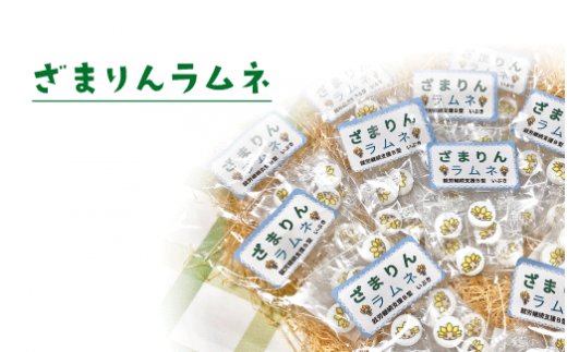 ざまりんラムネ|夏 爽やか ソーダ味 ざまりん ご当地キャラ 国産 神奈川県 座間市 ※着日指定不可神奈川県座間市8000菓子・スイーツ煎餅・おかき