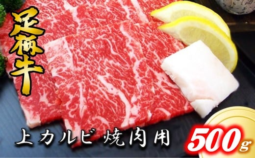 ȂuhyzJrēp500g_ސ쌧c10000