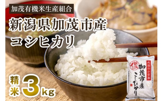 【令和7年産新米先行予約】新潟県加茂市産コシヒカリ 精米3kg  《10月中旬から順次出荷 》白米 加茂有機米生産組合新潟県加茂市10000米・パン白米