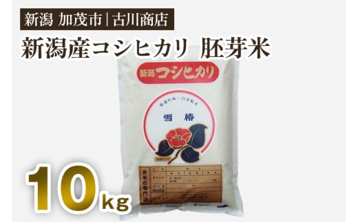 【令和5年産米】新潟県加茂市産コシヒカリ 胚芽米10kg お米の専門店 古川商店新潟県加茂市17000米・パン白米