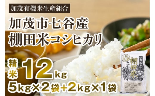 【令和7年産新米先行予約】新潟県加茂市 七谷産 棚田米コシヒカリ 精米12kg(5kg×2+2kg×1)《10月中旬から順次出荷》白米 加茂有機米生産組合新潟県加茂市52000米・パン白米