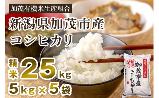 【令和7年産新米先行予約】新潟県加茂市産コシヒカリ 精米25kg(5kg×5) 《10月中旬から順次出荷 》 白米 加茂有機米生産組合新潟県加茂市79000米・パン白米