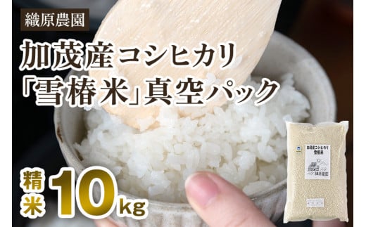 【令和6年産米】新潟産コシヒカリ「雪椿米」特別栽培米 精米10kg (5kg×2袋)白米真空パック 従来品種コシヒカリ 加茂市 織原農園新潟県加茂市18000米・パン白米