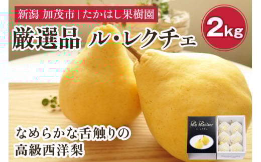 y2025Ns\z ͂ʎ ސ VY ̗mEN`F Ii 2kg s11{ȍ~zt ʕ t[cMtg ~̖o YnΎs ͂ʎVΎs13000