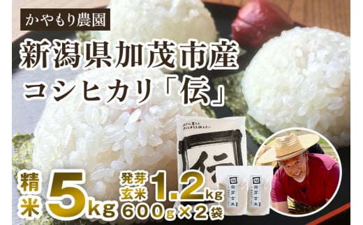 【令和7年産新米】新潟産コシヒカリ「伝」精米5kgと発芽玄米1.2kg(600g×2)《9月下旬〜順次出荷》 セット かやもり農園新潟県加茂市32000米・パン白米