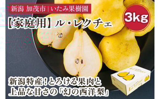 【2025年先行予約】新潟特産 幻の洋梨ル・レクチェ 家庭用 約3kg (7〜11玉) 《11月下旬以降、順次発送》 令和5年新潟県ル・レクチェ果実品評会「県知事賞」   果物 フルーツ 冬の味覚 産地