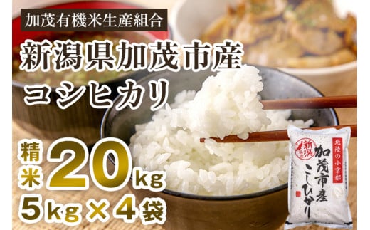 【令和7年産新米先行予約】新潟県加茂市産コシヒカリ 精米20kg(5kg×4) 《10月中旬から順次出荷 》 白米 加茂有機米生産組合新潟県加茂市63000米・パン白米