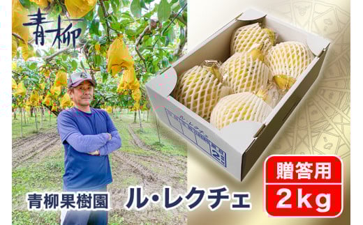 【2025年先行予約】新潟特産 幻の洋梨ル・レクチェ 贈答用 2kg(5〜7玉)〈11月下旬〜順次出荷〉 ルレクチェ ル・レクチエ ルレクチエ 西洋梨 新潟県産 ギフト 果物 フルーツギフト 冬の味覚