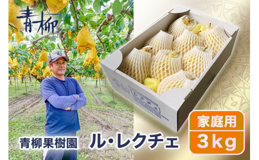 【2025年先行予約】新潟特産 幻の洋梨ル・レクチェ 家庭用 3kg(7〜9玉)〈11月下旬〜順次出荷〉 ルレクチェ ル・レクチエ ルレクチエ 西洋梨 新潟県 新潟産 果物 フルーツ 冬の味覚 産地直送