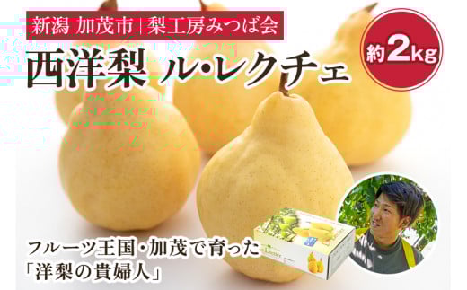 【2025年先行予約】新潟特産 幻の洋梨ル・レクチェ 【家庭用】2Kg(5〜7玉)《11月下旬以降発送》果物 フルーツギフト 秋の味覚 加茂市 梨工房みつば会新潟県加茂市12000果物・フルーツりん
