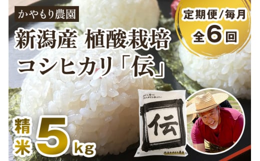 【令和7年産新米】【定期便6ヶ月毎月お届け】新潟産コシヒカリ「伝」白米真空パック 精米5kg 《9月下旬〜順次出荷》 南麻布の高級料亭で提供される極上米 かやもり農園新潟県加茂市136000
