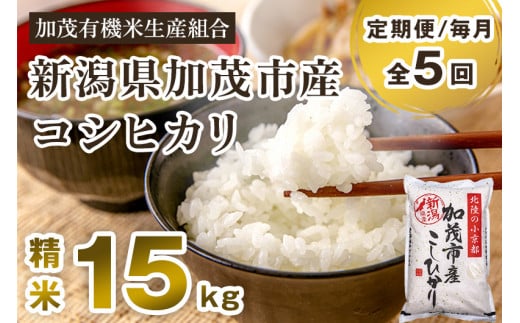 【令和7年産新米先行予約】【定期便5ヶ月毎月お届け】新潟県加茂市産コシヒカリ 精米15kg(5kg×3)《10月中旬から順次出荷》白米 加茂有機米生産組合 定期便新潟県加茂市235000米・パン白米