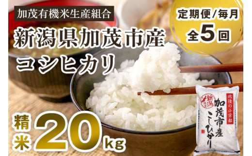 【令和7年産新米先行予約】【定期便5ヶ月毎月お届け】新潟県加茂市産コシヒカリ 精米20kg(5kg×4)《10月中旬から順次出荷》白米 加茂有機米生産組合 定期便新潟県加茂市315000米・パン白米