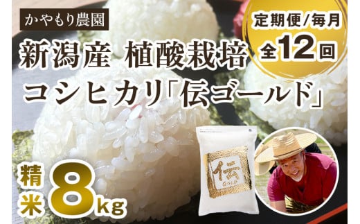 【定期便12ヶ月毎月お届け】新潟産コシヒカリ「伝ゴールド」白米真空パック 精米8kg(2kg×4)南麻布の高級料亭で提供される極上米 かやもり農園 定期便新潟県加茂市544000米・パン白米