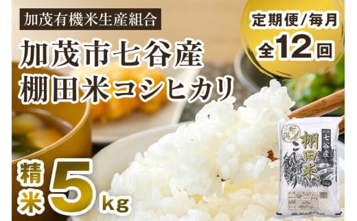【令和7年産新米先行予約】【定期便12ヶ月毎月お届け】七谷産 棚田米 コシヒカリ 精米 5kg《10月中旬から順次出荷》  白米 加茂有機米生産組合 新潟県 加茂市産 白米 米 お米 定期便新潟県加