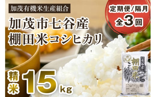 【令和7年産新米先行予約】【定期便3回隔月お届け】七谷産 棚田米 コシヒカリ 精米15kg(5kg×3)《10月中旬から順次出荷》 白米 加茂有機米生産組合 新潟県 加茂市産 白米 米 お米 定期便新
