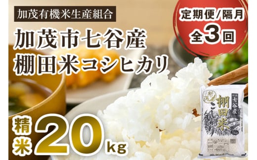 【令和7年産新米先行予約】【定期便3回隔月お届け】七谷産 棚田米 コシヒカリ 精米 20kg(5kg×4)《10月中旬から順次出荷》白米 加茂有機米生産組合 新潟県 加茂市産 白米 米 お米 定期便新