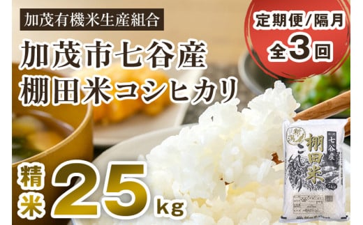【令和7年産新米先行予約】【定期便3回隔月お届け】七谷産 棚田米 コシヒカリ 精米 25kg(5kg×5)《10月中旬から順次出荷》 白米 加茂有機米生産組合 新潟県 加茂市産 白米 米 お米 定期便新