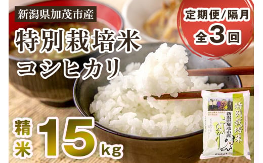 【令和7年産新米先行予約】【定期便3回隔月お届け】特別栽培米 コシヒカリ 精米 15kg(5kg×3)《10月中旬から順次出荷》  白米 従来品種コシヒカリ 加茂有機米生産組合 新潟県 加茂市産 白米