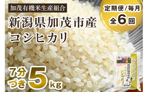 【令和6年産米】【定期便6ヶ月毎月お届け】7分づき 特別栽培米 コシヒカリ 精米 5kg 従来品種コシヒカリ 加茂有機米生産組合 新潟県 加茂市産 白米 米 お米 定期便新潟県加茂市140000米・パン