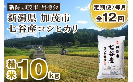 yߘa6NYāzy12͂zVΎs JYRVqJ 10kgi5kg×2j  nYʌ  ֐VΎs308000āEp