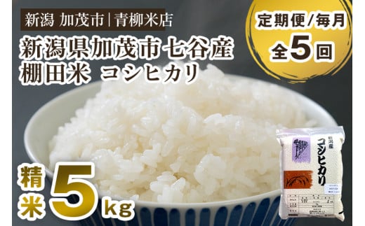 【令和6年産米】【定期便5ヶ月毎月お届け】新潟産コシヒカリ 加茂市七谷産 棚田米 精米5kg 白米 真空パック 青柳米店 定期便新潟県加茂市59000米・パン白米
