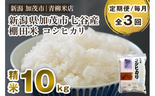 【令和6年産米】【定期便3回毎月お届け】新潟産コシヒカリ 加茂市七谷産 棚田米 精米10kg(5kg×2)白米 真空パック 青柳米店 定期便新潟県加茂市70000米・パン白米