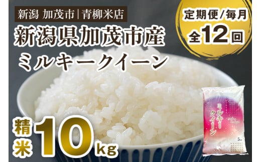 【令和6年産米】【定期便12ヶ月毎月お届け】新潟県央地区 ミルキークイーン 精米10kg(5kg×2)新潟米 新潟産 お米 白米 加茂市 青柳米店新潟県加茂市280000米・パン白米