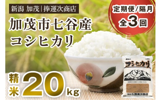 【令和6年産米】【定期便3回隔月お届け】新潟県加茂市七谷産コシヒカリ 精米20kg(5kg×4)白米 捧運次商店 定期便新潟県加茂市144000米・パン白米