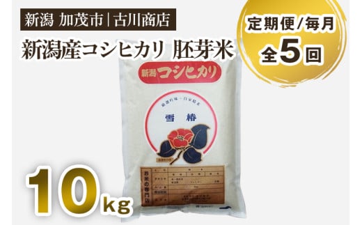 【定期便5ヶ月毎月お届け】新潟県加茂市産 コシヒカリ 胚芽米 10kg お米 米 お米の専門店 古川商店 定期便新潟県加茂市84000米・パン白米