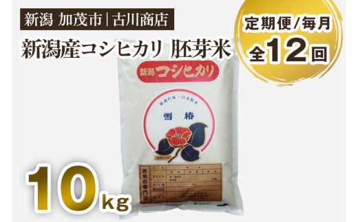 y12͂zVΎsY RVqJ  10kg   Ă̐X Ð쏤X ֐VΎs200000āEp