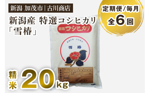 【令和7年産新米】【定期便6ヶ月毎月お届け】特選コシヒカリ「雪椿」精米 20kg 《順次発送》 白米 お米 米 加茂市 お米の専門店 古川商店 新潟県産 定期便新潟県加茂市400000米・パン白米