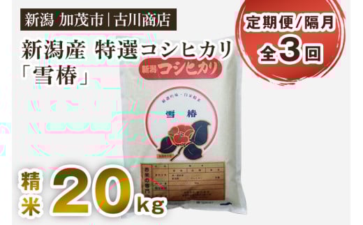 【令和7年産新米】【定期便3回隔月お届け】新潟県産 特選コシヒカリ「雪椿」精米20kg 《順次発送》 白米 加茂市 お米の専門店 古川商店 定期便新潟県加茂市200000米・パン白米