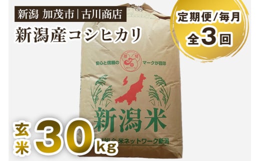 【令和7年産新米】【定期便3回毎月お届け】新潟県加茂市産コシヒカリ 玄米 30kg 《順次発送》 お米 米 お米の専門店 古川商店 定期便新潟県加茂市230000米・パン白米