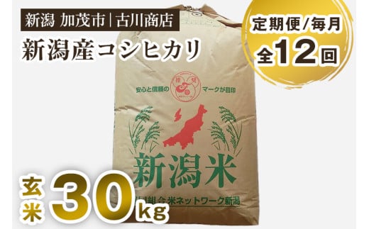 【令和7年産新米】【定期便12ヶ月毎月お届け】新潟県加茂市産コシヒカリ 玄米 30kg 《順次発送》 お米 米 お米の専門店 古川商店 定期便新潟県加茂市920000米・パン白米