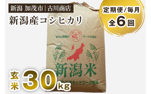 【令和7年産新米】【定期便6ヶ月毎月お届け】新潟県加茂市産コシヒカリ 玄米 30kg 《順次発送》 お米 米 お米の専門店 古川商店 定期便新潟県加茂市460000米・パン白米