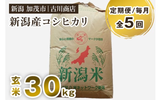 【令和7年産新米】【定期便5ヶ月毎月お届け】新潟県加茂市産コシヒカリ 玄米 30kg 《順次発送》 お米 米 お米の専門店 古川商店 定期便新潟県加茂市384000米・パン白米