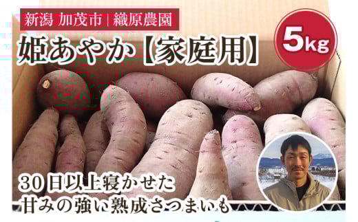 【2025年先行予約】新潟県 加茂市産 姫あやか 【家庭用】 5kg 《11月上旬〜順次発送》 人気 さつまいも 訳あり 家庭用 さつまいも 熟成 さつまいも しっとり甘みの強い さつまいも 焼き芋 焼