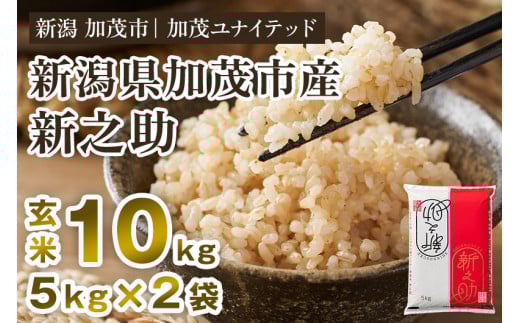 【令和7年産新米先行予約】新潟県産 新之助 玄米10kg 《5kg×2袋》《10月上旬から順次発送》 新潟 ブランド米 加茂市 加茂ユナイテッド新潟県加茂市32000米・パン玄米・雑穀米・もち米・餅