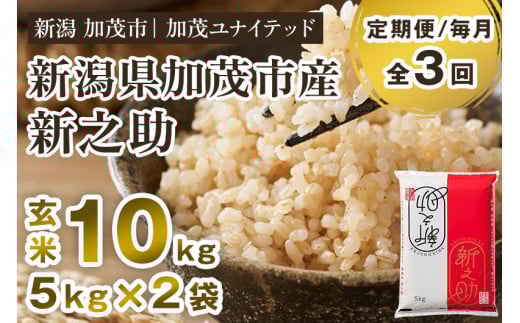 【令和7年産新米先行予約】【定期便3ヶ月毎月お届け】新潟県産 新之助 玄米10kg 《5kg×2袋》《10月上旬から順次発送》 新潟 ブランド米 加茂市 加茂ユナイテッド新潟県加茂市90000米・パン玄