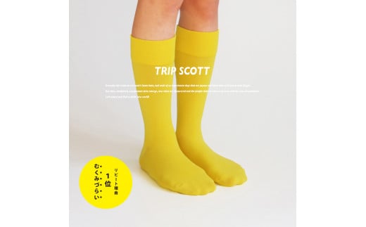 足にやさしい旅の靴下TRIPSCOTT 黄色 《22cm〜24cm》【おしゃれ シンプルで普段使いにも】スタイリッシュで丈夫なソックス 衣類  靴下 くつ下 加茂市 MACHITOKI マチトキ新潟県加茂市6000衣類・装