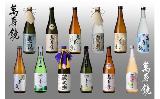 萬寿鏡 12種類飲み比べセット 720ml ×12本 厳選 大吟醸 純米吟醸 吟醸酒 本醸造 生貯蔵 梅酒 お酒 飲み比べ 日本酒 地酒 大吟醸 純米吟醸 贈答にも 加茂市 マスカガミ新潟県加茂市92000酒・アル